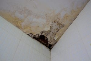 Can mold in your home make you sick