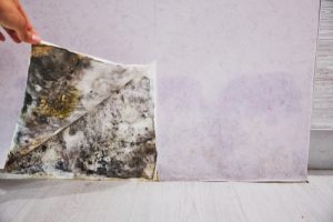 Do water stains mean mold