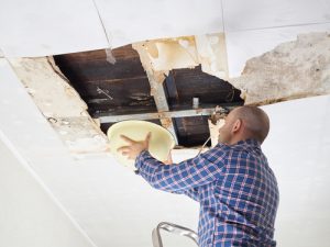 Does homeowners insurance cover subfloor