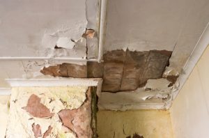 Is mold from water damage dangerous