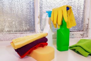 What are the different types of mold in homes