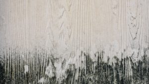 What causes mildew on wood