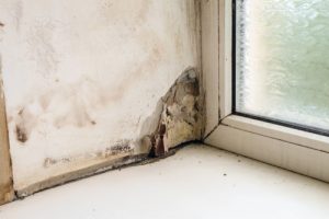 Does insurance cover slab leak repairs? 