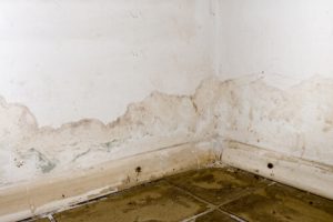 Is drywall ruined if it gets wet? 